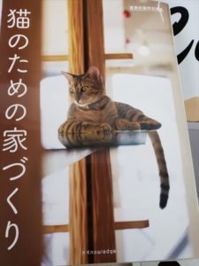 猫の本